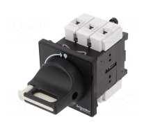 Main emergency switch-disconnector | Poles: 3 | 25A | IP65 | -20÷50°C