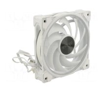 Fan: DC | axial | 12VDC | 120x120x25mm | 31.8dBA | HDB | 500÷2000rpm