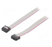 Ribbon cable with IDC connectors | Tape ph: 1.27mm | 0.6m