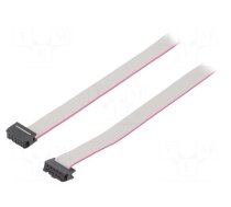 Ribbon cable with IDC connectors | Tape ph: 1.27mm | 0.6m