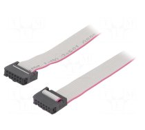 Ribbon cable with IDC connectors | Tape ph: 1.27mm | 0.3m