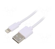 Cable | USB 2.0 | Apple Lightning plug,USB A plug | nickel plated