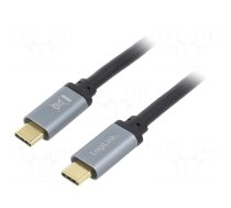 Cable | USB 3.2 | USB C plug,both sides | 1m | black | 10Gbps | 100W