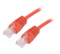 Patch cord | U/UTP | 5e | stranded | CCA | PVC | red | 0.25m | 26AWG