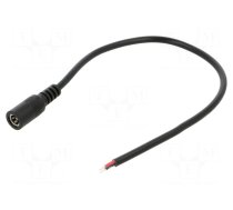 Cable | 2x0.5mm2 | DC 5,5/2,5 socket | straight | black | 0.25m