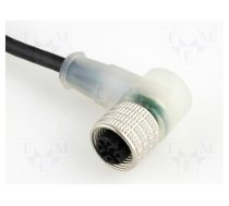 Connection lead | M12 | PIN: 3 | angled | 5m | plug | 30VAC | 4A | RKWT | IP67