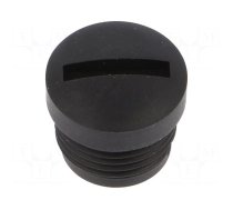 Protection cap