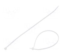 Cable tie | L: 203mm | W: 2.5mm | polyamide | 80N | natural | Ømax: 51mm