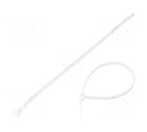 Cable tie | lumiscent | L: 200mm | W: 3.6mm | white | polyamide