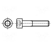 Screw | M10x260 | 1.5 | Head: cheese head | hex key | HEX 8mm | steel