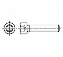 Screw | M10x20 | 1.5 | Head: cheese head | hex key | HEX 8mm | steel | zinc