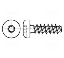 Screw | for plastic | 2.5x10 | Head: cheese head | Torx® PLUS | 8IP