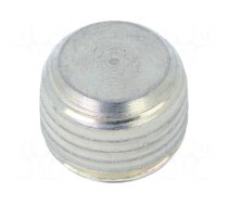 Hexagon head screw plug | without micro encapsulation | steel