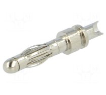 Connector: 4mm banana | plug | Max.wire diam: 2.5mm | nickel plated