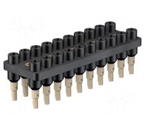 Socket strip | 2mm banana | black | 70VDC | 10A | 33VAC | Sockets: 20