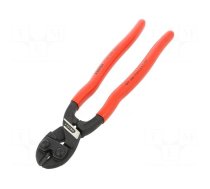 Pliers | cutting | blackened tool,handles with plastic grips
