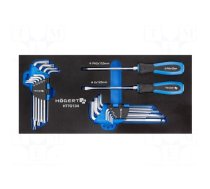 Kit: general purpose | Kit: Allen keys,Torx keys,screw x2 | 20pcs.