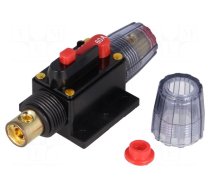 Fuse: automatic | automotive | 60A | black | 12÷24VDC | 4.2x10x4.2mm