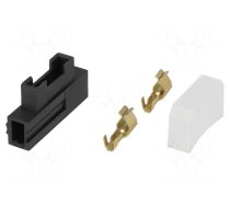 Fuse holder | automotive fuses | transparent