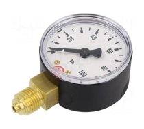 Manometer | 0÷100bar | 50mm | non-aggressive liquids,inert gases