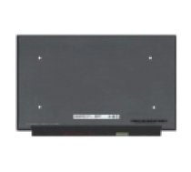 Display LED 15.6  40pin FHD 240Hz IPS Matted No brackets