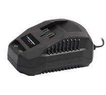 Blaupunkt Blaupunkt BP1824 Fast Charger 2.4A