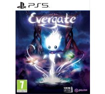 Evergate PlayStation 5 (Jauna)