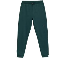 Men's pants 4F sea green H4Z21 SPMD011 46S