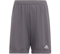 Adidas Entrada 22 children's shorts, gray H57507