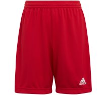 Children's shorts adidas Entrada 22 red H57501