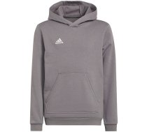 Adidas Entrada 22 Hoody children's sweatshirt, gray H57515