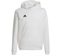 Adidas Entrada 22 Hoody children's sweatshirt, white HG6303