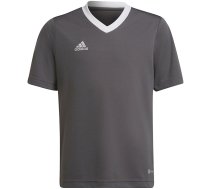 Adidas Entrada 22 Jsy children's T-shirt, gray H57499