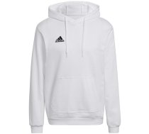 Adidas Entrada 22 Hoody men's sweatshirt, white HG6302