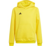 Adidas Entrada 22 Hoody children's sweatshirt, yellow HI2142