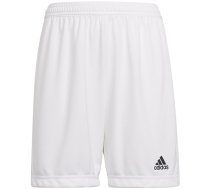 Adidas Entrada 22 children's shorts, white HG6292