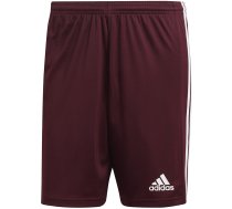 Adidas Squadra 21 Short men's shorts, burgundy GN8083
