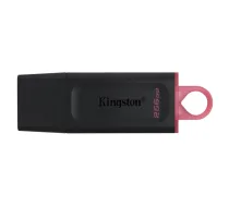 KINGSTON Kingston 256GB USB3.2 Gen1 DT Bk+Pink DTX/256GB