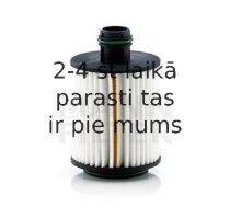 Eļļas filtrs MANN-FILTER HU 7004/1 x