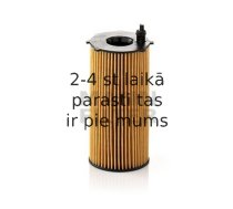 Eļļas filtrs MANN-FILTER HU 820/2 x