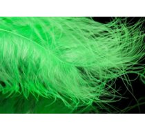 A. Jensen Blood Quill Marabou - green - Marabu spalvas