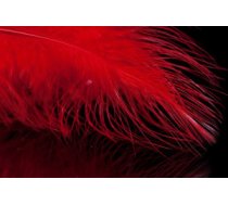 A. Jensen Blood Quill Marabou - red - Marabu spalvas