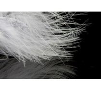 A. Jensen Blood Quill Marabou - white - Marabu spalvas