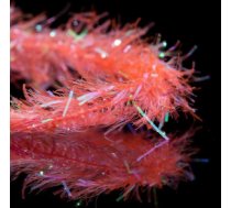 A. Jensen Cactus Chenille M - fl. orange - Spīdīgs materiāls