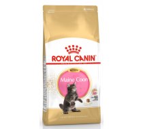 Royal Canin FBN Kitten Maine Coon 10kg - sausā barība kaķiem