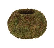 Puķu pods ø 14,5 cm Kokedama – Esschert Design