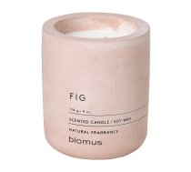 Aromātiskā sojas vaska svece degšanas laiks 24 h Fraga: Fig – Blomus