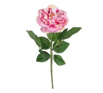 Mākslīgais augs (augstums 43 cm) Rose – Ixia