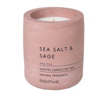 Aromātiskā sojas vaska svece degšanas laiks 24 h Fraga: Sea Salt and Sage – Blomus