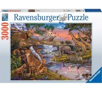 Puzzle 3000 elementów Królestwo zwierząt | GXP-724658  | 4005556164653